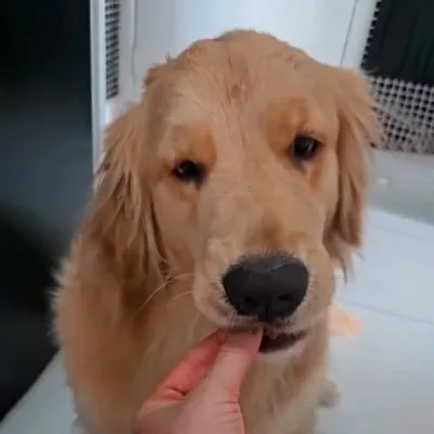 Vania, tutora da Maia