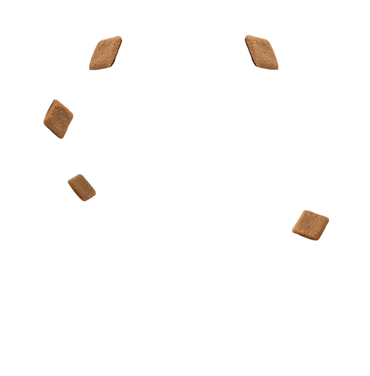 Nutrição avançada em formato de petisco