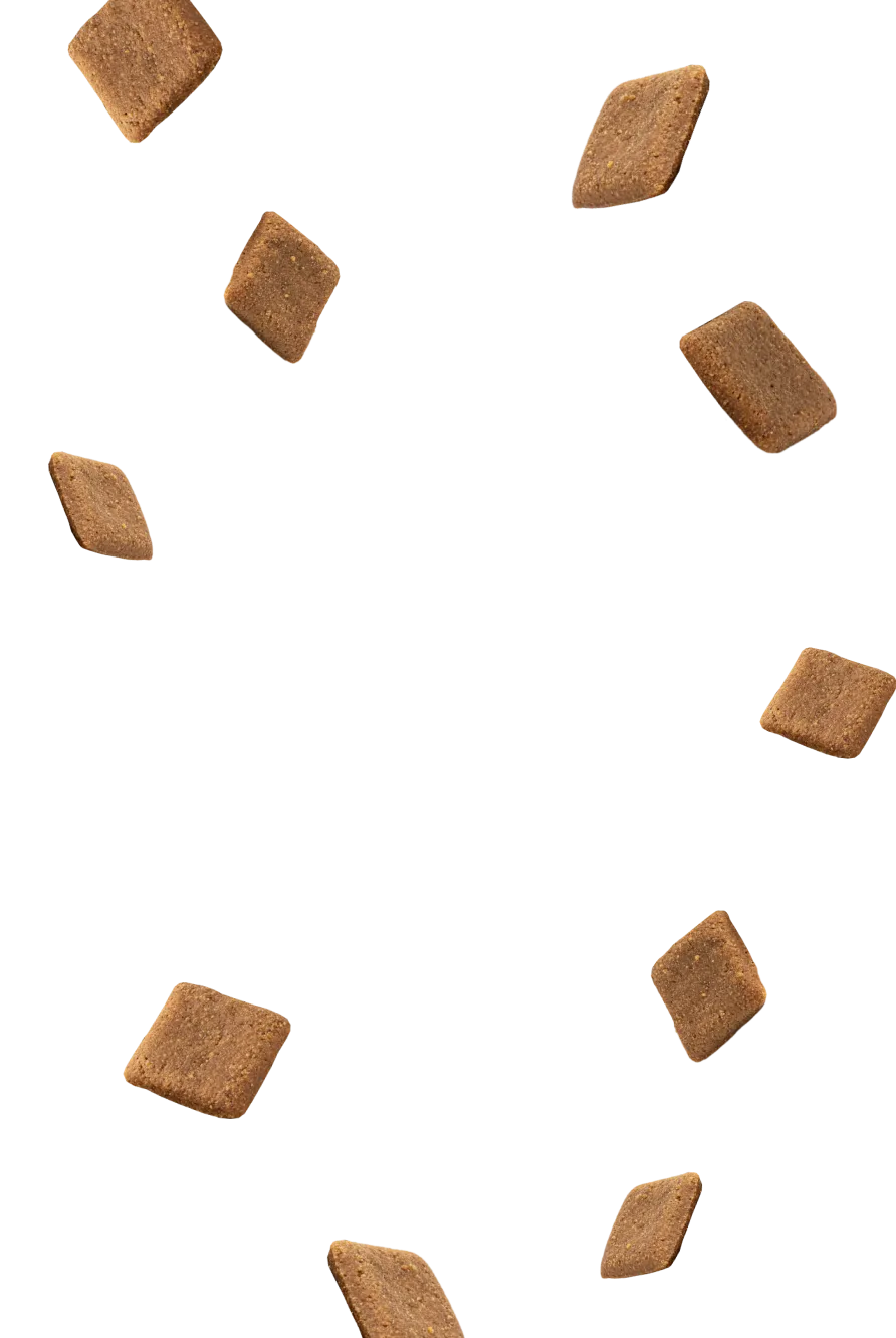 Suplemento Inteligente pra cachorro