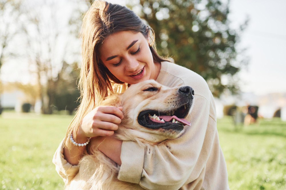Qual a idade correta para suplementar o cachorro?